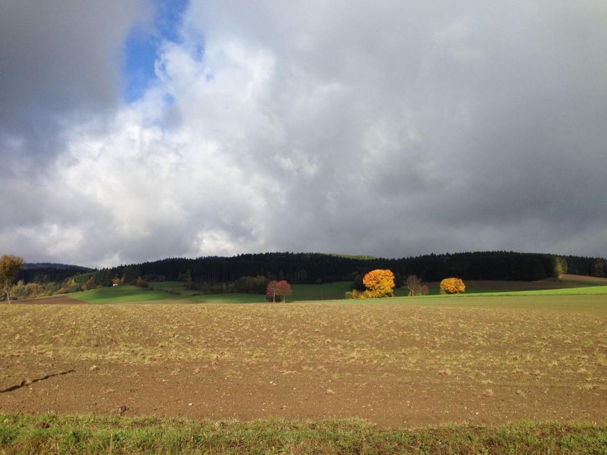 Cozy Pet-friendly Holiday Home in Tännesberg Exteriör bild